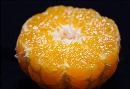 魏柑可能是這個(gè)季節(jié)最好吃的水果，90%的人都不知道