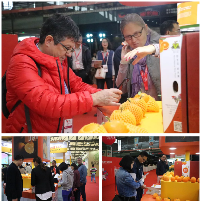 微信圖片_20191115142608.png 微信圖片_20191115142608.png